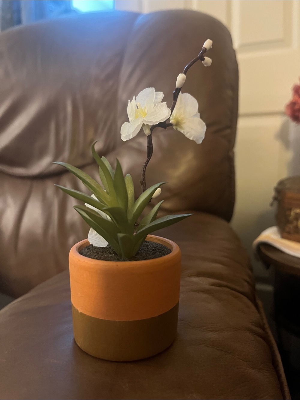 Artificial White Orchid in Two-Tone Terracotta Planter with succulent plant 618